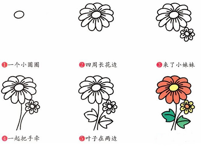 漂亮菊花简笔画的画法步骤教程