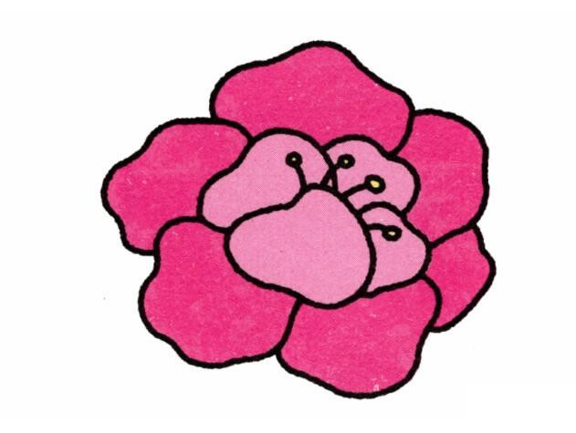 牡丹花的画法