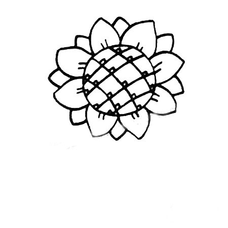 向日葵简笔画