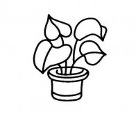 绿植小盆栽简笔画