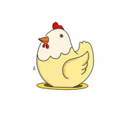 母鸡简笔画的画法步骤教程