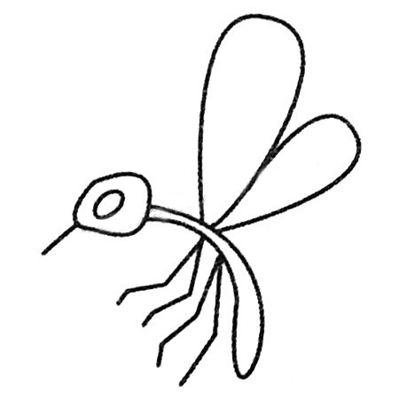 蚊子简笔画图片大全及画法步骤