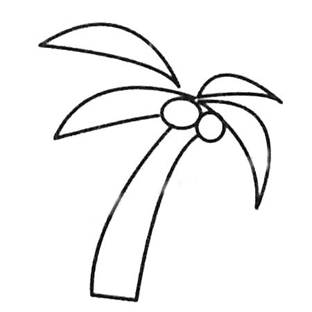 椰子树简笔画图片大全及画法步骤
