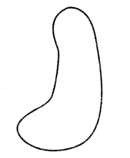 黄瓜简笔画图片