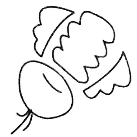 萝卜简笔画的画法步骤