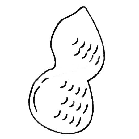 花生简笔画大全及画法步骤