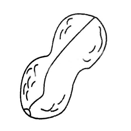 花生简笔画图片