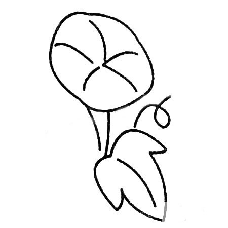 牵牛花简笔画图片