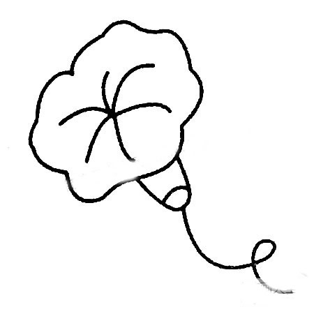 牵牛花简笔画图片