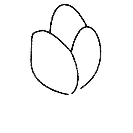 菠菜简笔画大全及画法步骤