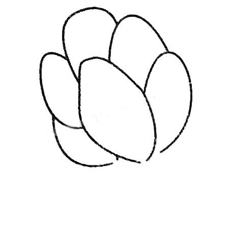 菠菜简笔画大全及画法步骤