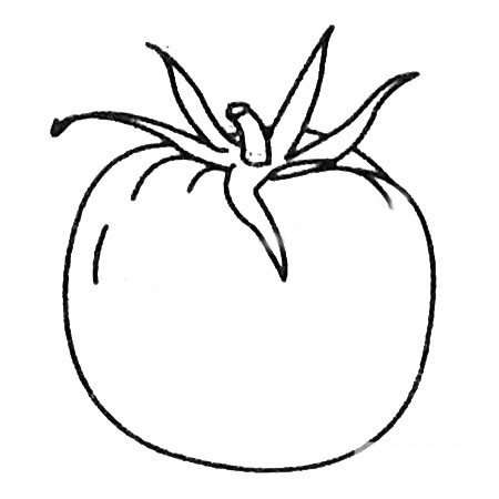 西红柿简笔画大全及画法步骤
