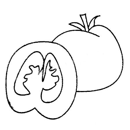 西红柿简笔画大全及画法步骤