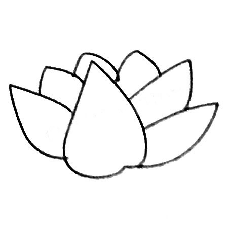 多肉植物简笔画大全及画法步骤