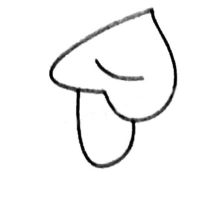 马蹄莲简笔画大全及画法步骤