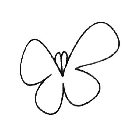 蝴蝶花简笔画大全