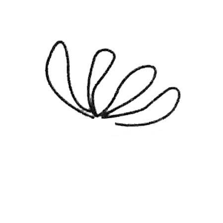 菊花简笔画大全及画法步骤