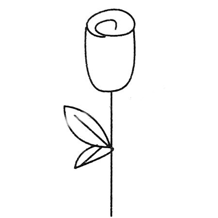 玫瑰花简笔画大全及画法步骤