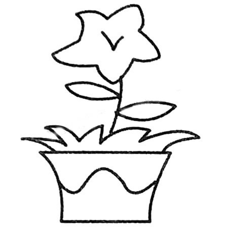 漂亮的花朵盆景简笔画大全