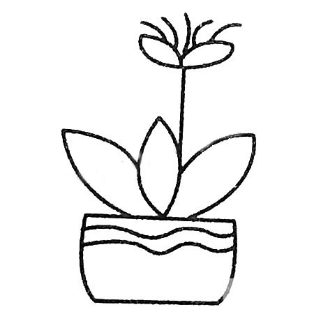 漂亮的花朵盆景简笔画大全