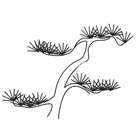 松树简笔画图片