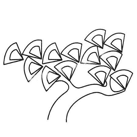 松树的多种画法