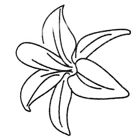 百合花简笔画大全及画法步骤