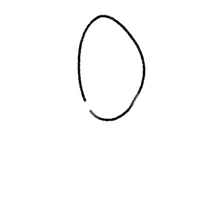 郁金香简笔画大全及画法步骤