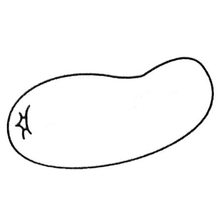 冬瓜简笔画大全及画法步骤
