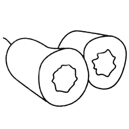 冬瓜简笔画大全及画法步骤