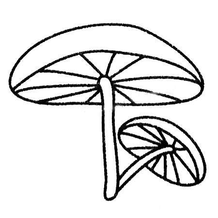 各种各样的蘑菇简笔画图片大全