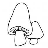 小蘑菇简笔画图片大全