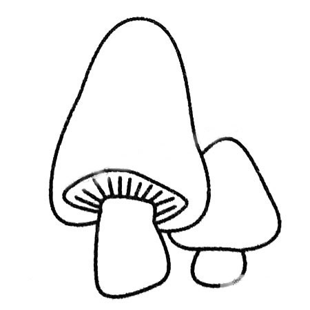 小蘑菇简笔画图片