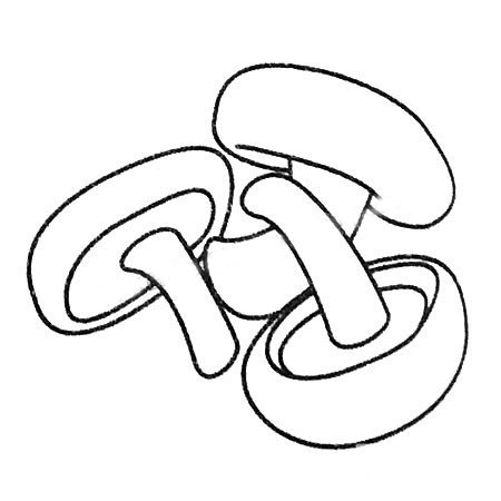 小蘑菇简笔画图片