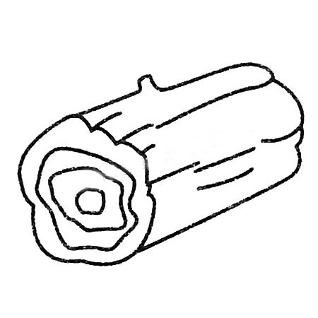 树桩简笔画大全