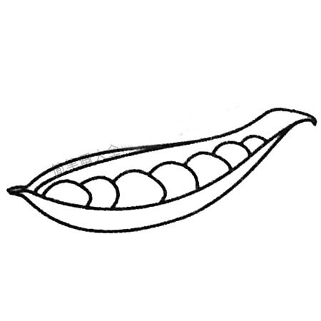 豌豆简笔画大全及画法步骤