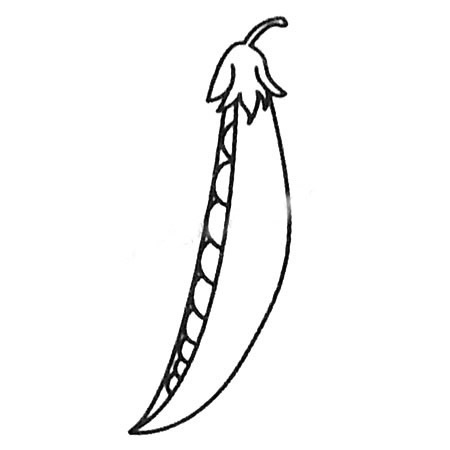 豌豆简笔画大全及画法步骤