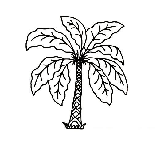 树木简笔画图片大全
