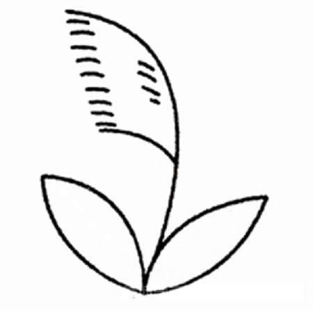 芦苇的画法