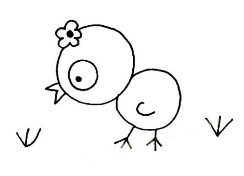 小鸡的简笔画图片