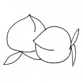 两颗桃子的画法简笔画