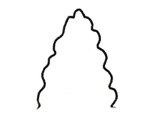 1.先画树的轮廓