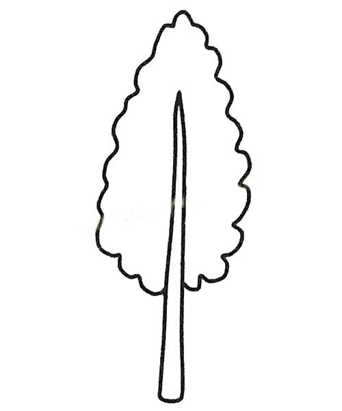 3.然后画树干