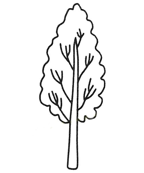 4.最后画树干上的树枝