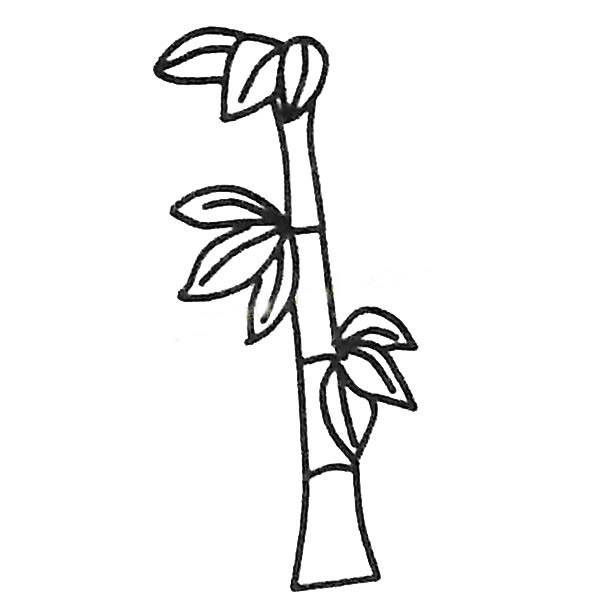 漂亮的竹子简笔画图片