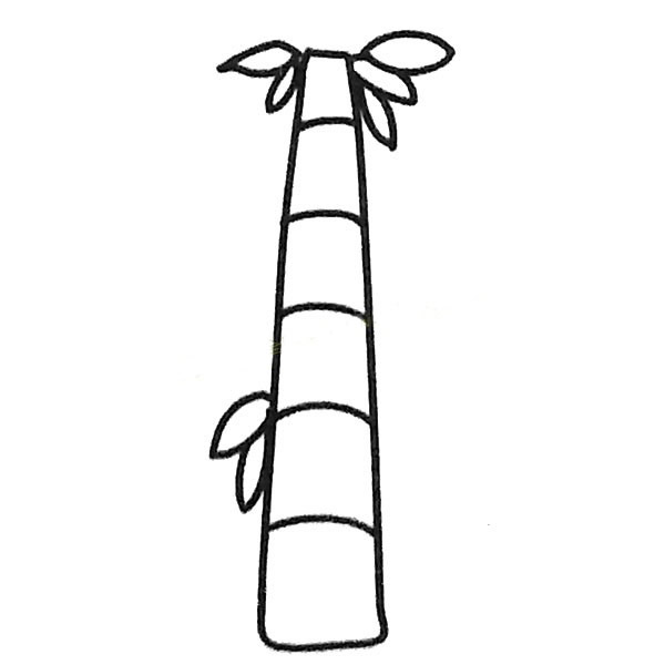 漂亮的竹子简笔画图片