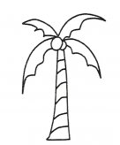 6款椰子树的画法简笔画