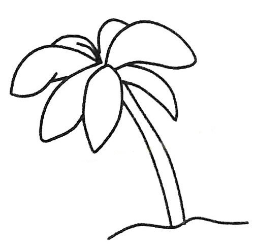 儿童简笔画大全 椰子树简笔画图片