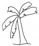 漂亮的芭蕉树简笔画图片