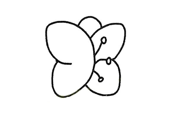 蝴蝶兰简笔画